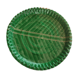 Disposable Plates – Green 10 pcs – 1 Pack